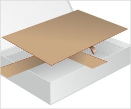 Interior Lid - Rigid Tray 2