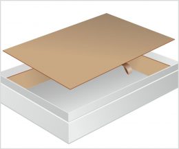 Interior Lid - Rigid Tray 4