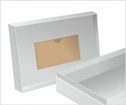 Paper Wallet - Rigid Tray 4